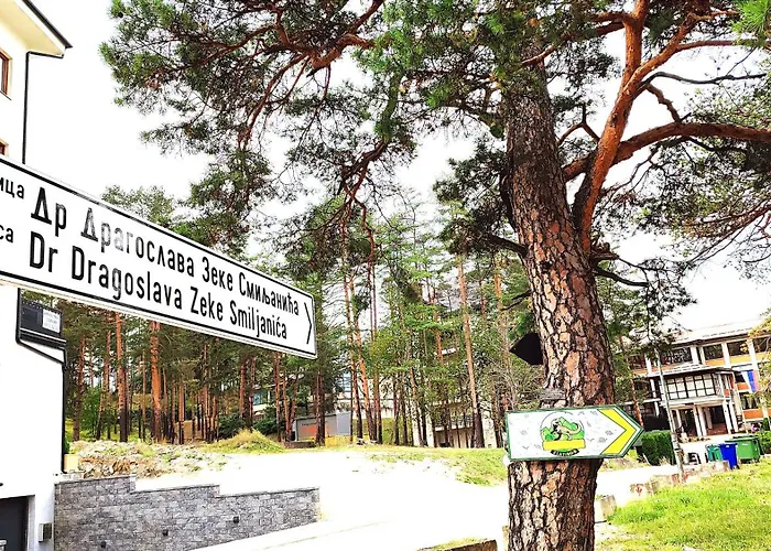 Balkanhill2 S37 Pekovic 公寓 兹拉蒂博尔